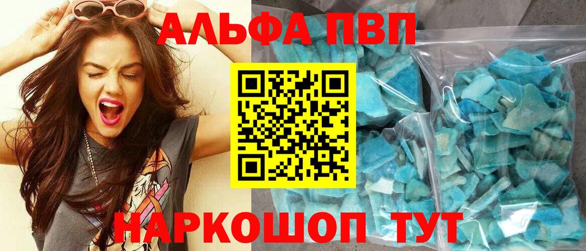 Альфа ПВП СК КРИС Элиста