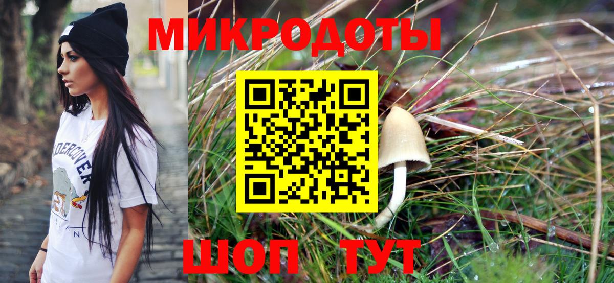 Элиста  купить  сайты  Вход с VPN  Галлюциногенные грибы Psilocybine cubensis  Псилоцибиновые грибы MAGIC MUSHROOMS 